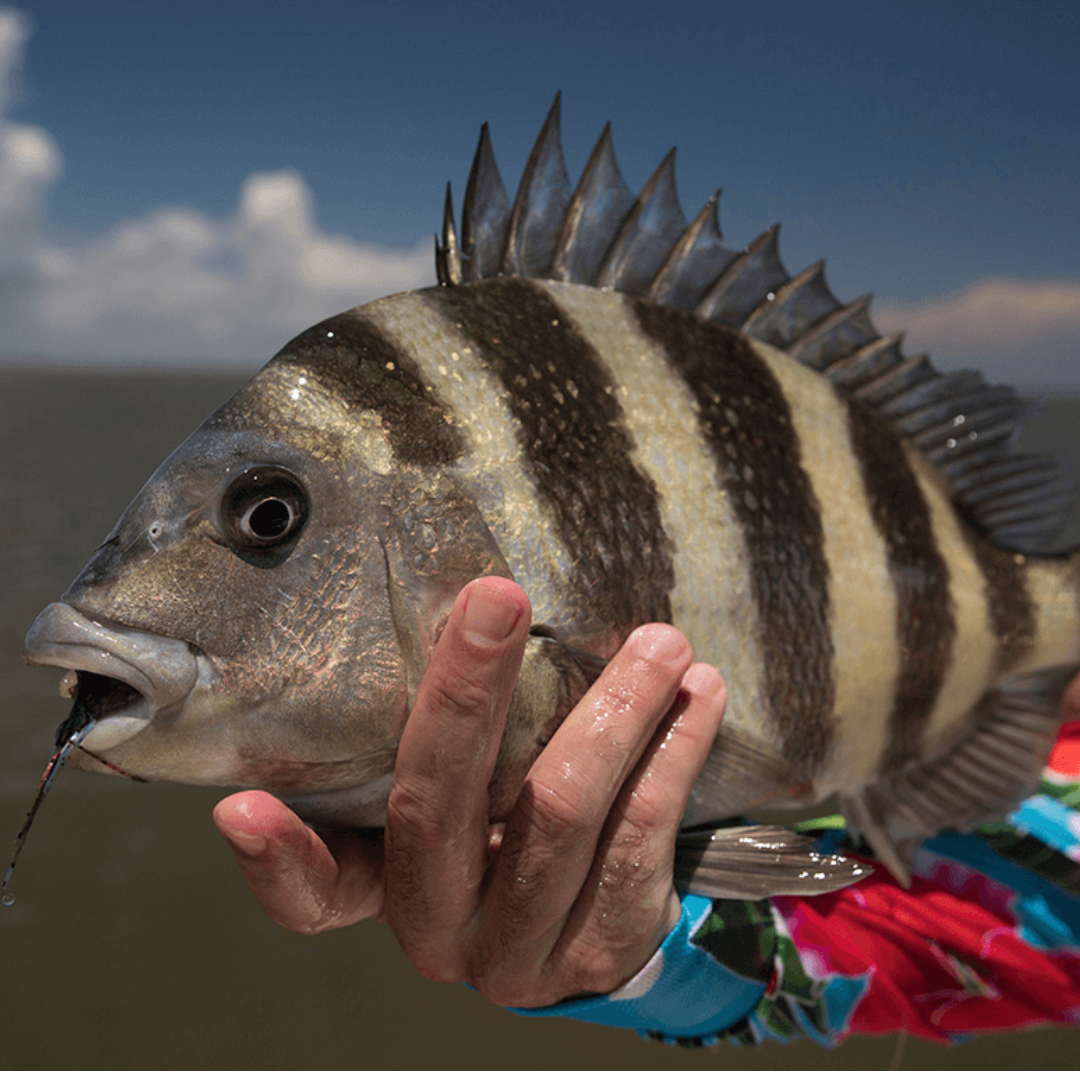 Essential Apparel & Accessories for Inshore Fishing