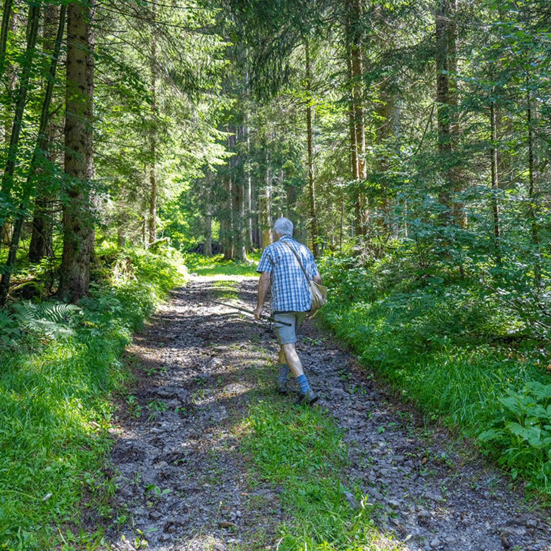 Portable Powerhouses: St. Croix Triumph Travel Rods