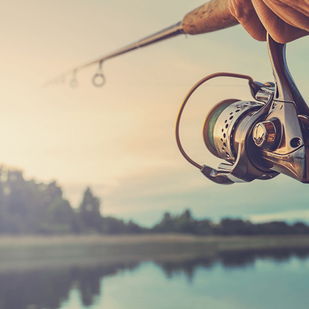 Reel Talk: 6 Types of Fishing Reels