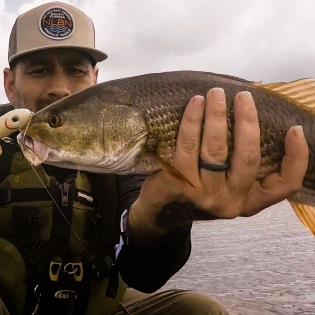 Van Staal vs Shimano Stella SW: A Reel-to-Reel Comparison