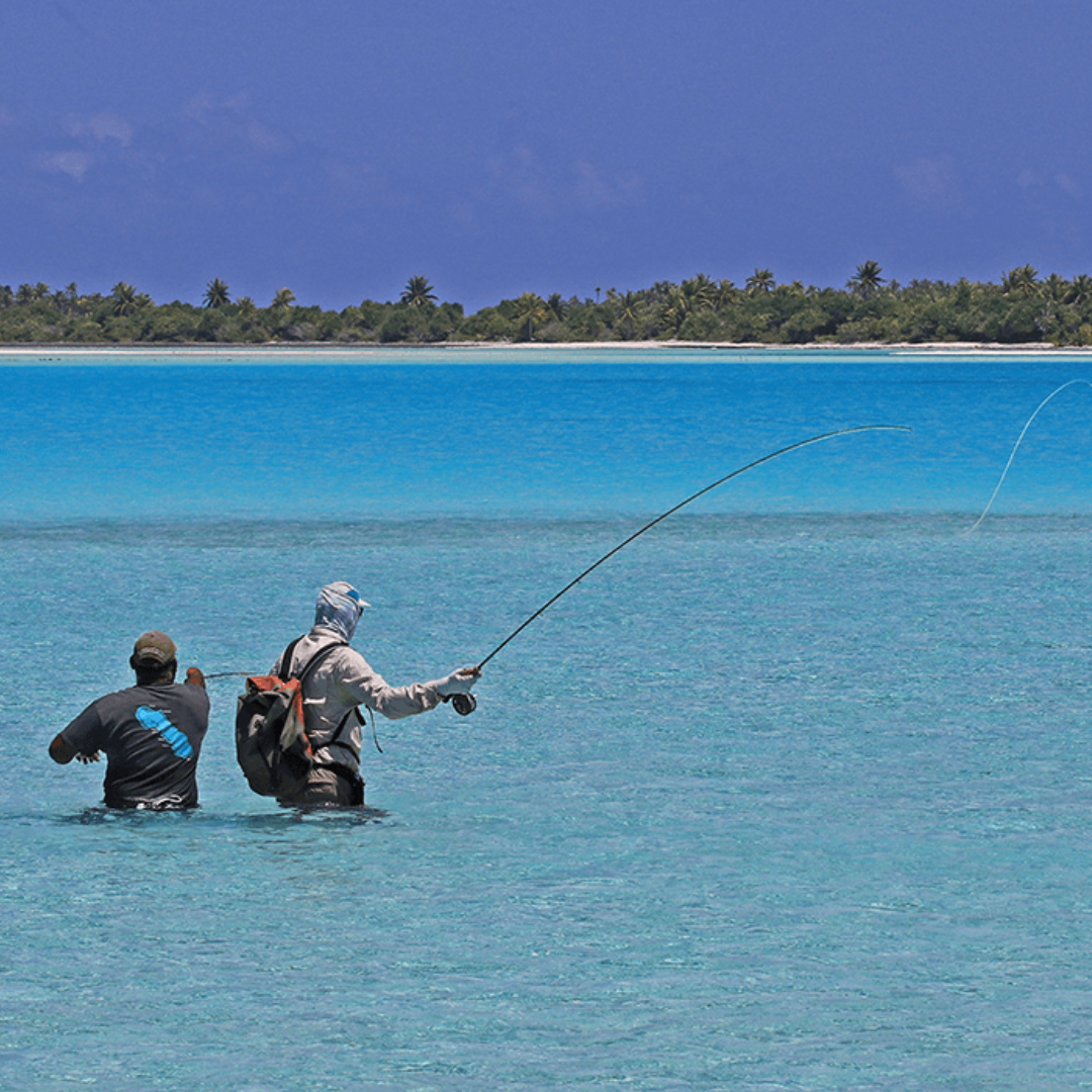 Your Guide to Essential Fishing Gear & Tackle