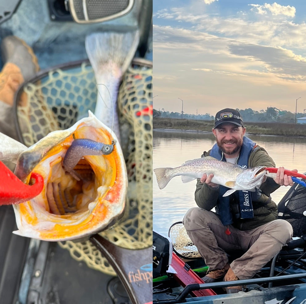 Southern Salt Hoodwink Lure