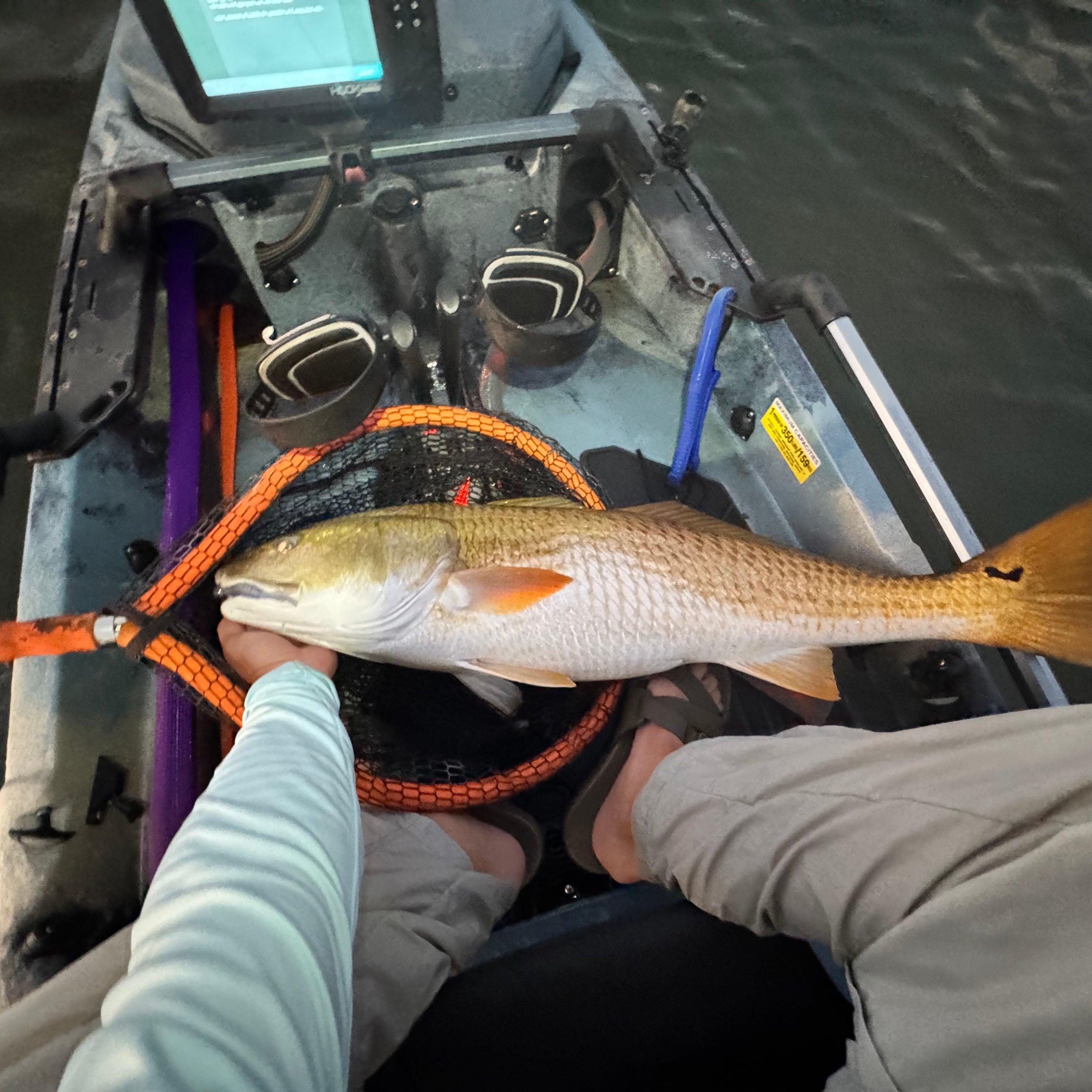 Southern Salt Hoodwink Lure