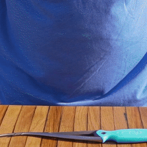 Toadfish Frogmore Shrimp Cleaner