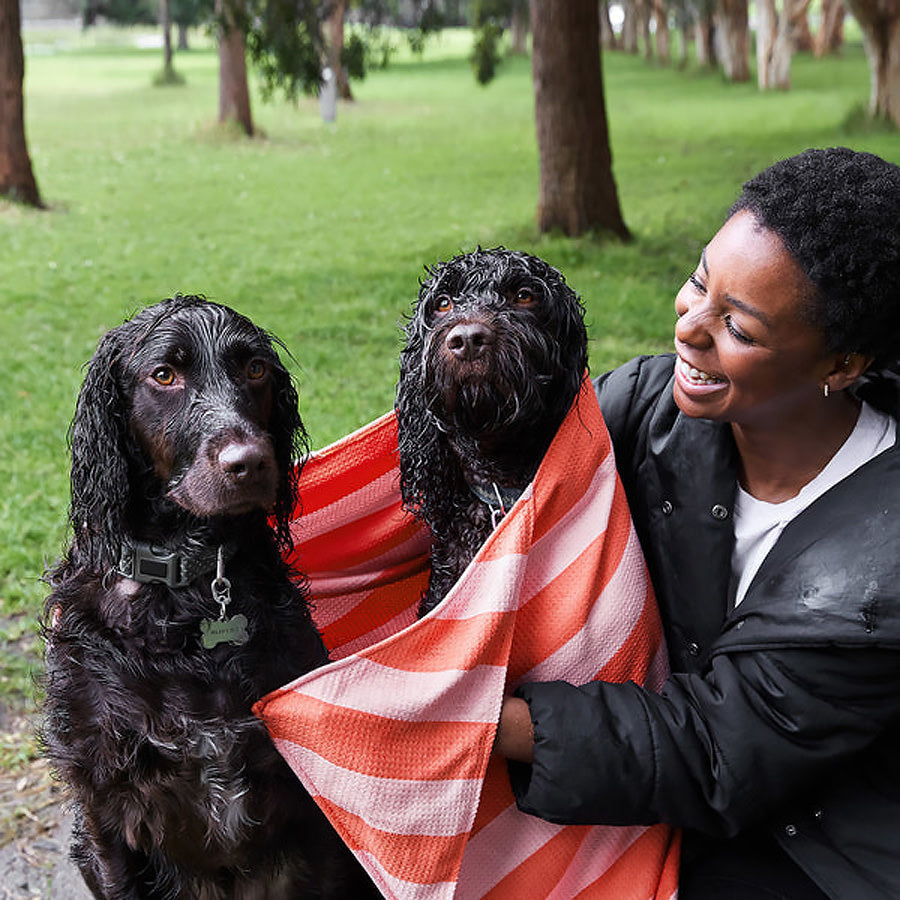 Quick Dry Dog Towel