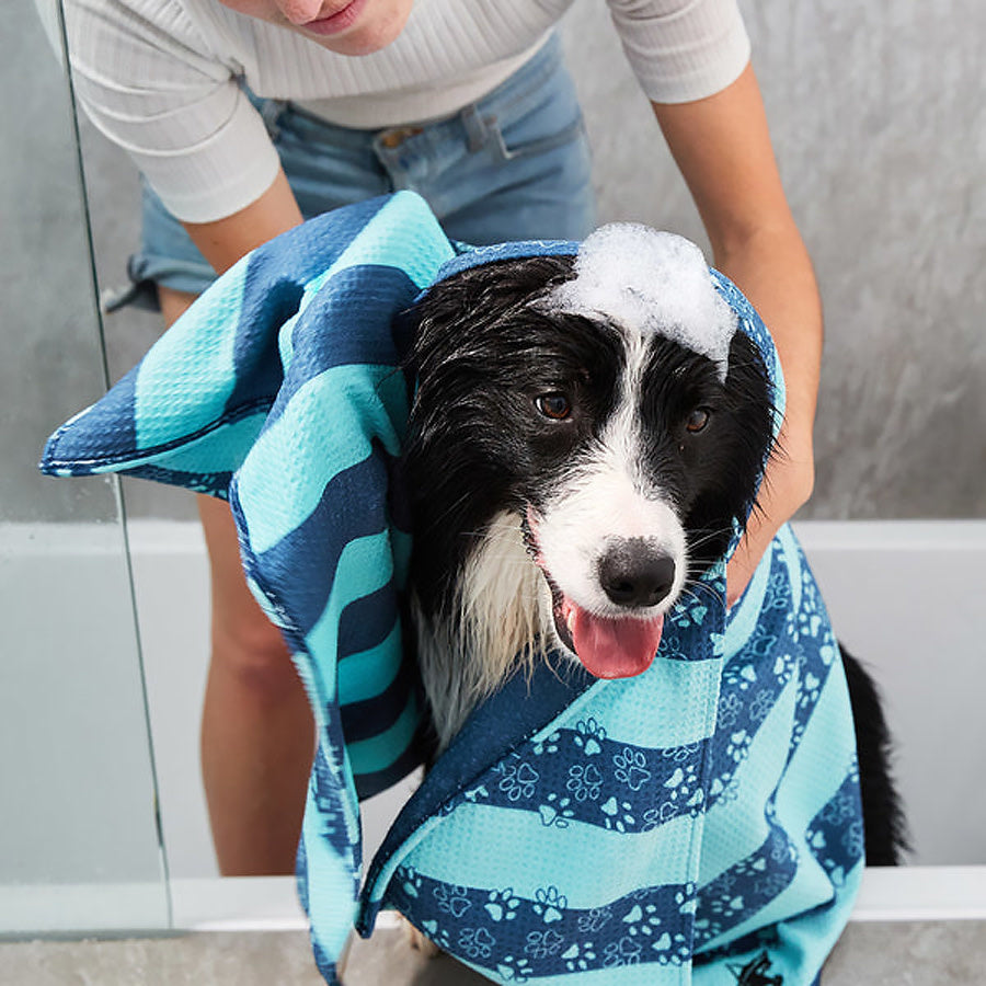 Quick Dry Dog Towel