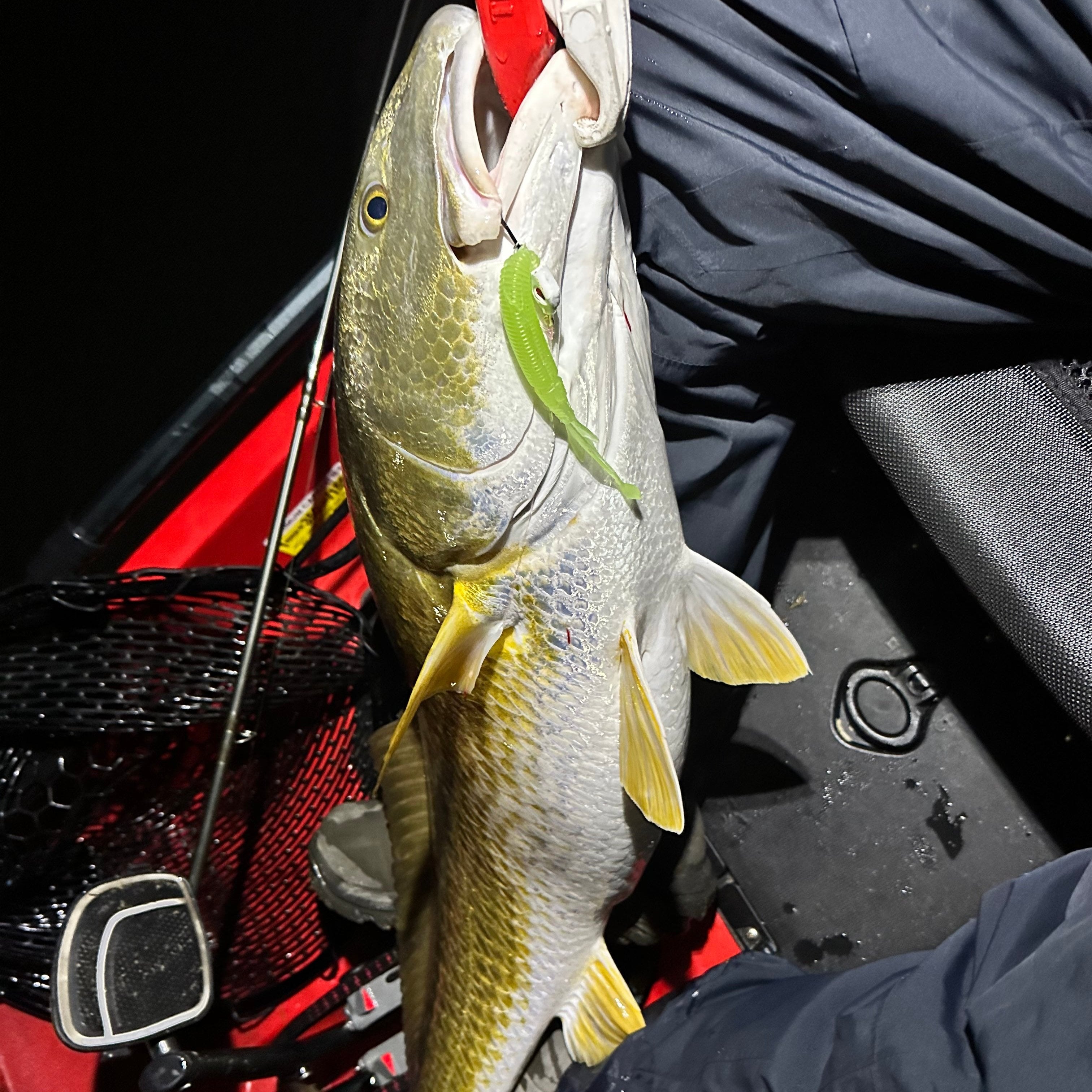 Southern Salt Hoodwink Lure