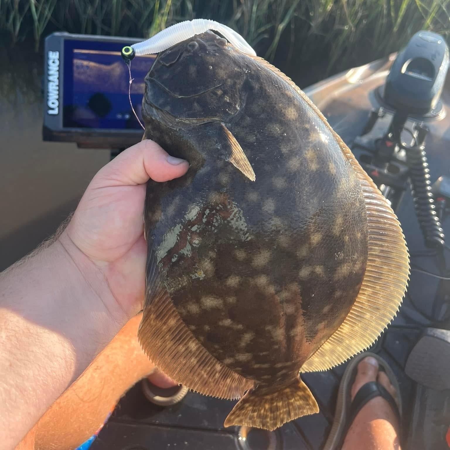 Southern Salt Hoodwink Lure