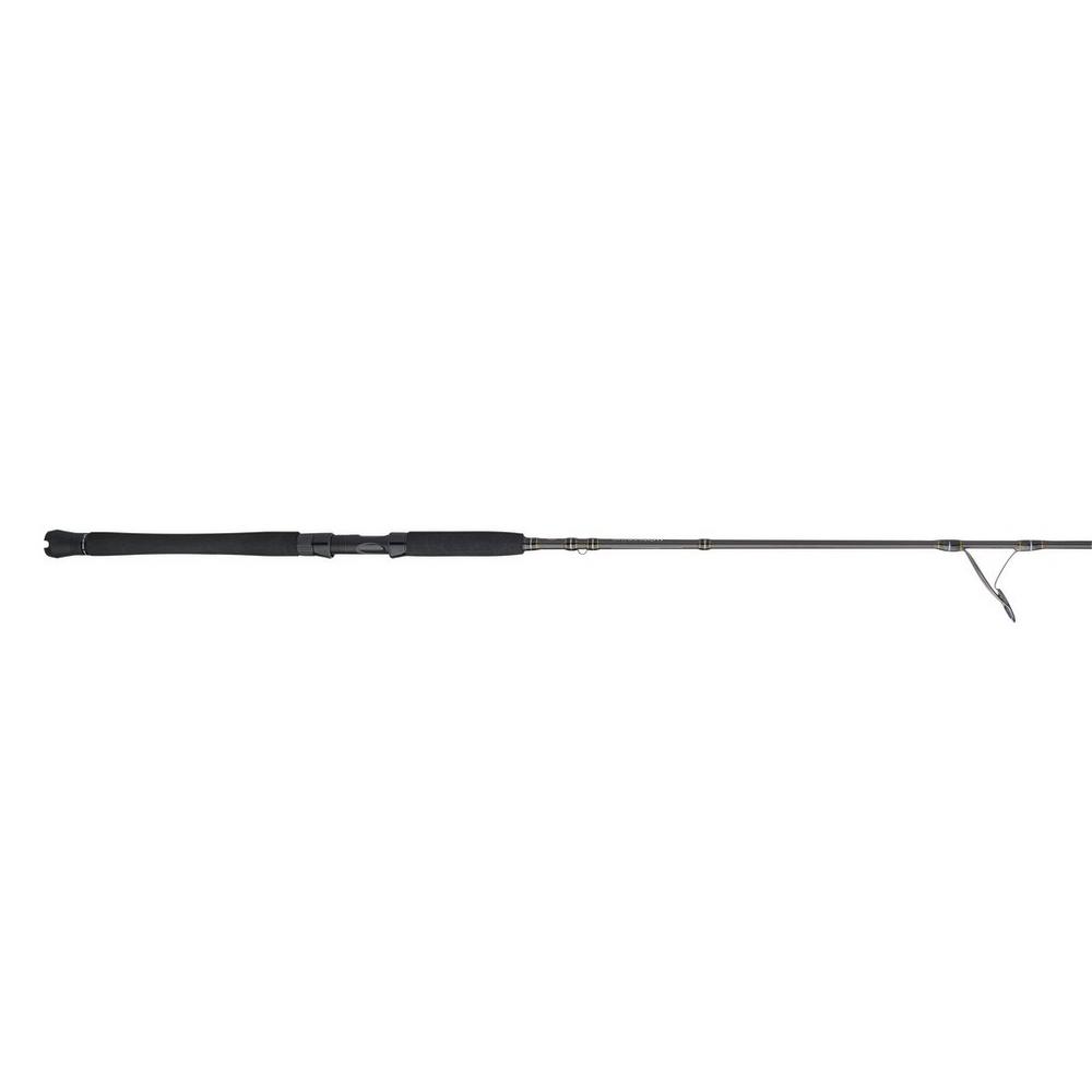 Penn Carnage III Inshore Spinning Rod