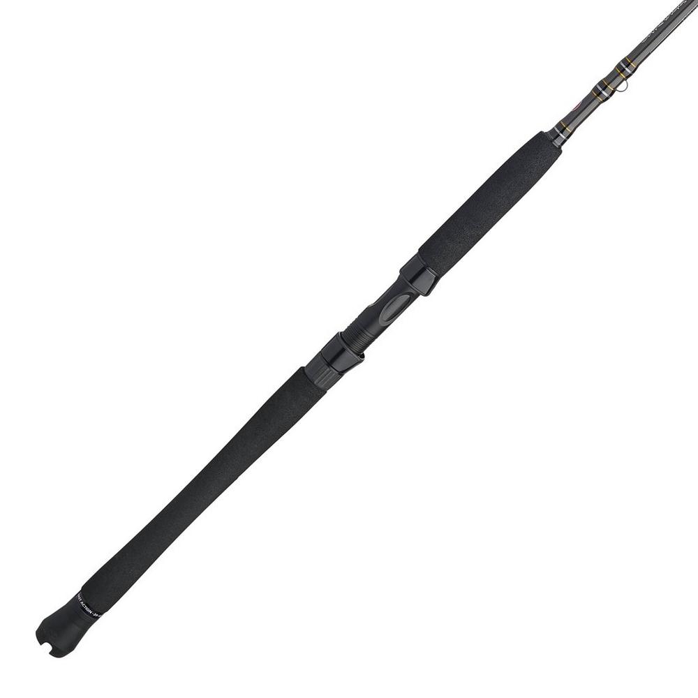 Penn Carnage III Inshore Spinning Rod