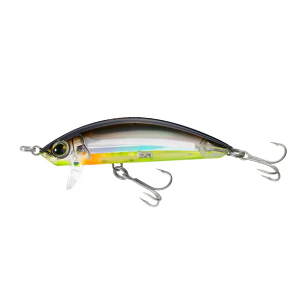 Surface Minnow – Beach Bum Outdoors