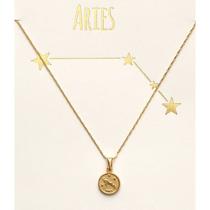 Tiny Zodiac Medallion Necklace