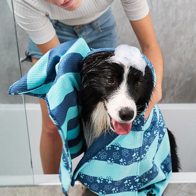 Quick Dry Dog Towel