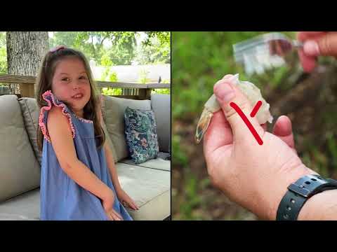 Toadfish Coastal Kitchen Collection