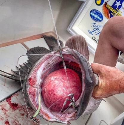 R&R Tackle Deep Drop Rigs