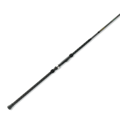 2026 Triumph Surf Spinning Rod
