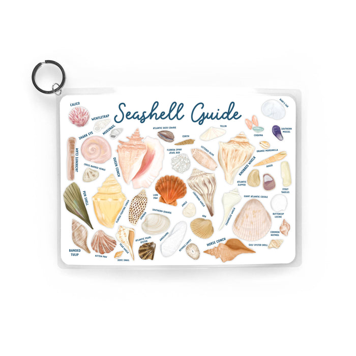 Seashell Guide, Waterproof Shell Reference Guide, Beach ID