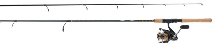 Daiwa BG SALTWATER SPINNING COMBOS